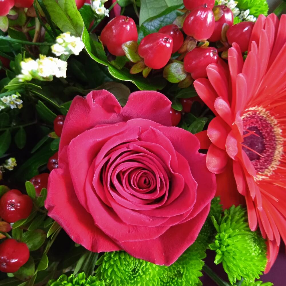 розой розой