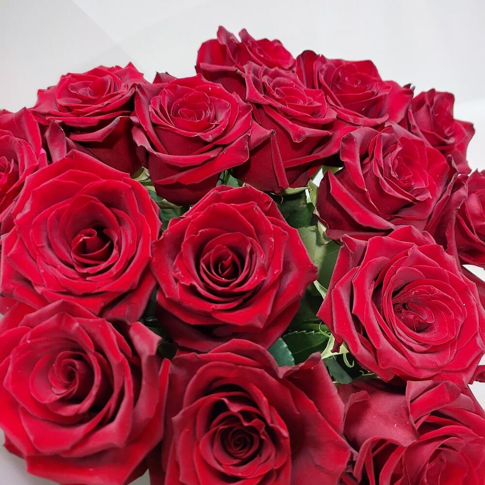 Темно-бордовые розы 15 шт Темно-бордовые розы 15 шт