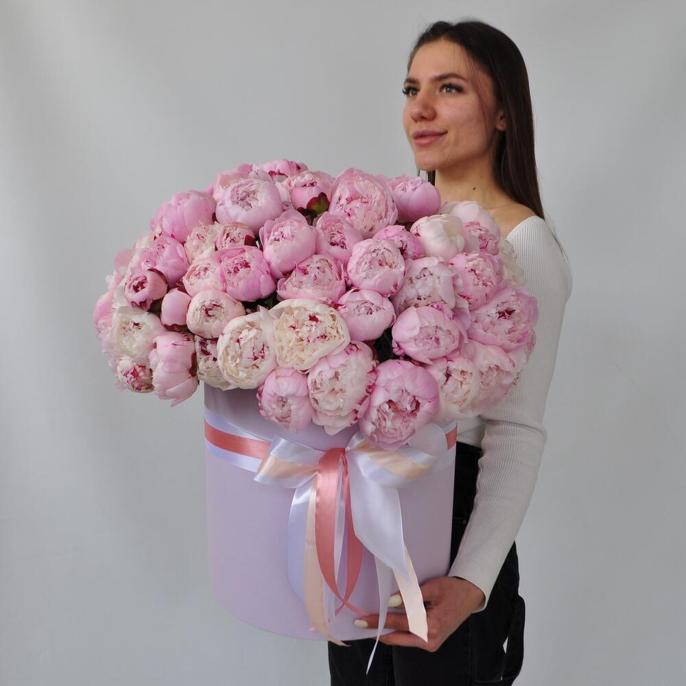 65 штук 65 штук