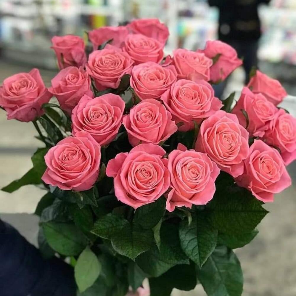 Анна Карина